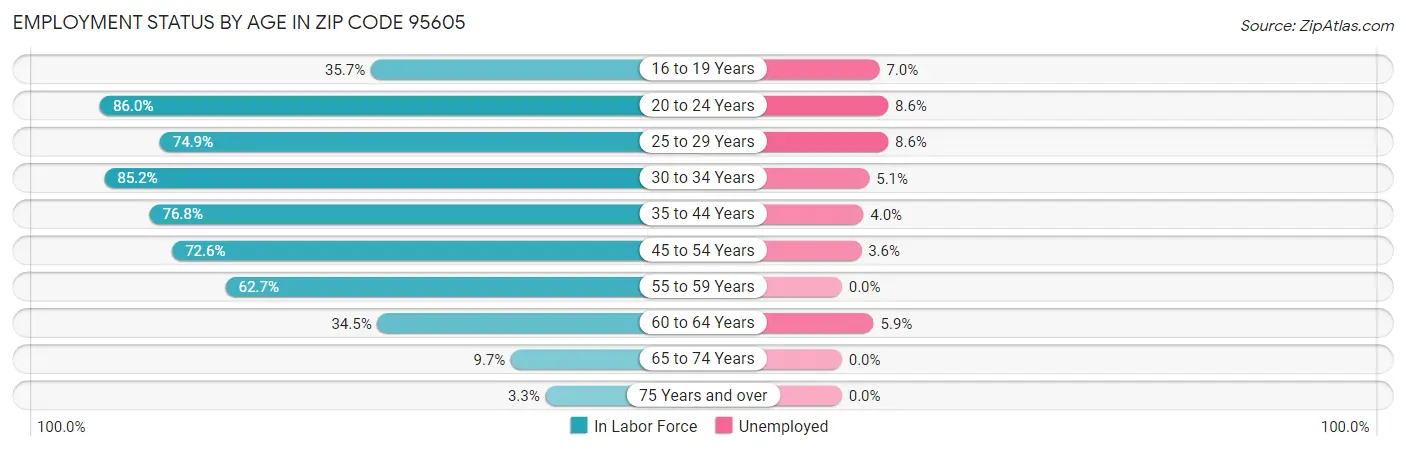 Employment Status by Age in Zip Code 95605