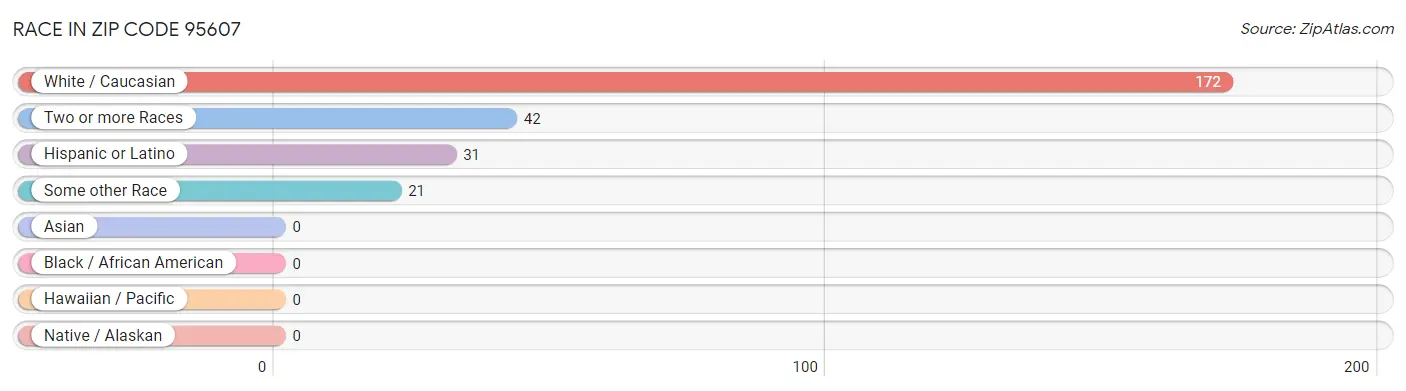 Race in Zip Code 95607