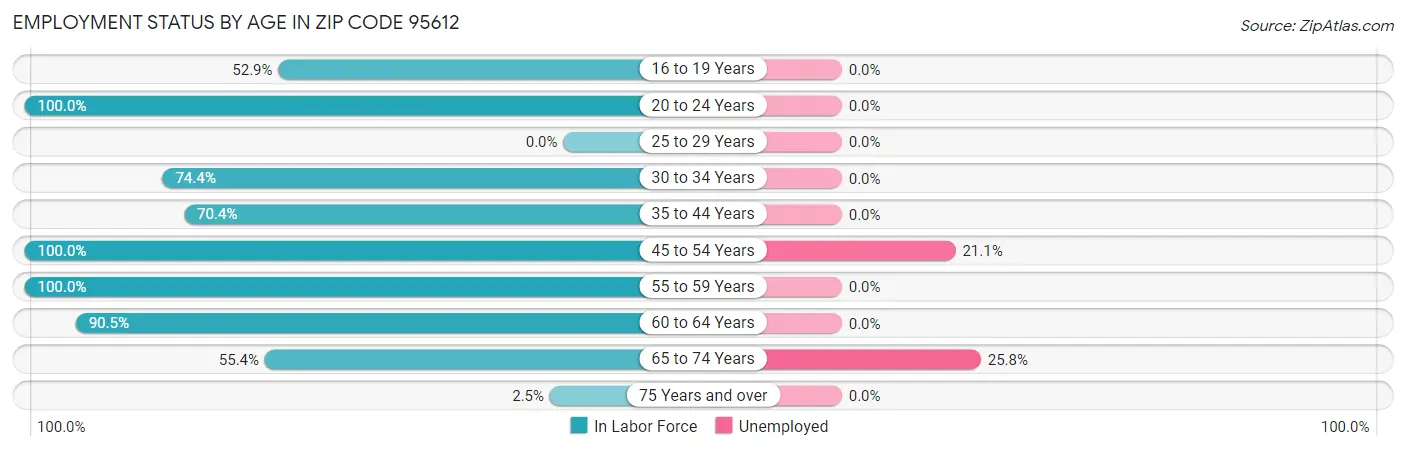 Employment Status by Age in Zip Code 95612