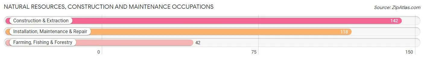 Natural Resources, Construction and Maintenance Occupations in Zip Code 95614