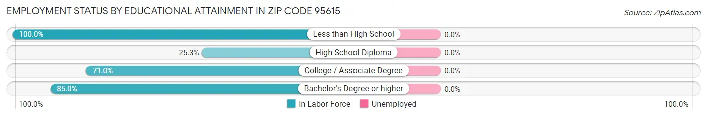 Employment Status by Educational Attainment in Zip Code 95615