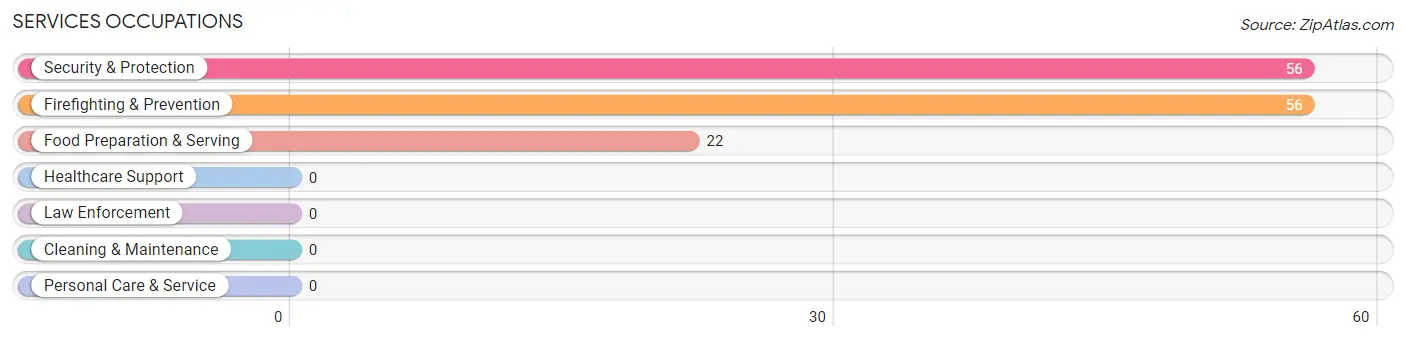 Services Occupations in Zip Code 95615