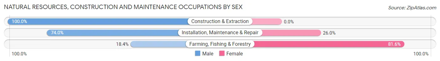 Natural Resources, Construction and Maintenance Occupations by Sex in Zip Code 95616
