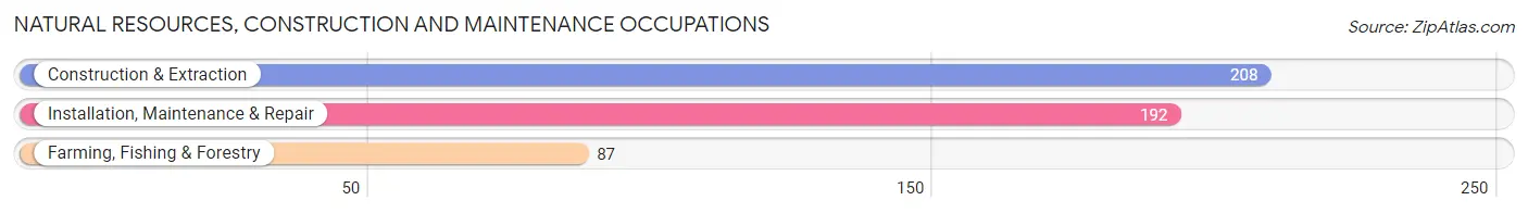 Natural Resources, Construction and Maintenance Occupations in Zip Code 95616