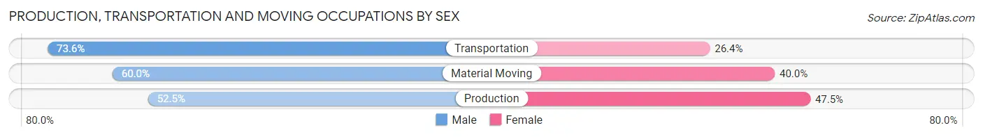 Production, Transportation and Moving Occupations by Sex in Zip Code 95616