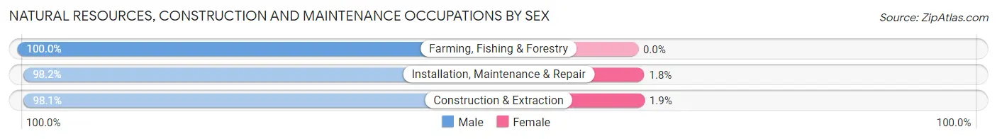 Natural Resources, Construction and Maintenance Occupations by Sex in Zip Code 95626