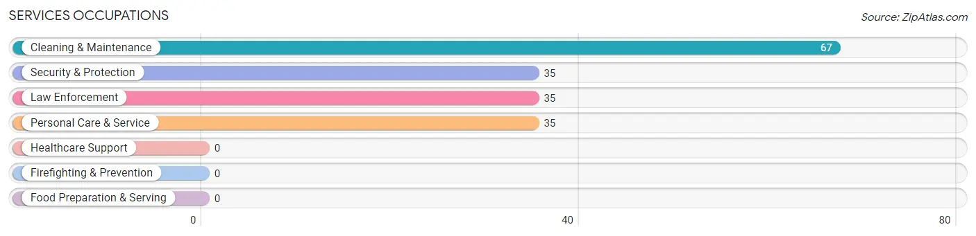 Services Occupations in Zip Code 95629