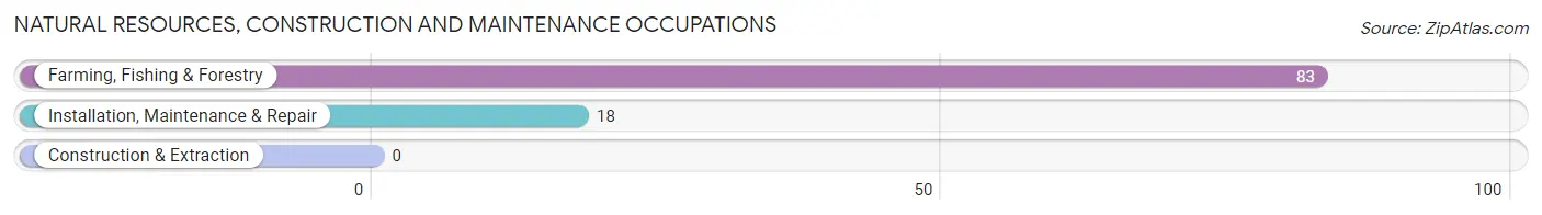 Natural Resources, Construction and Maintenance Occupations in Zip Code 95636