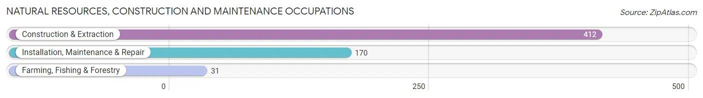 Natural Resources, Construction and Maintenance Occupations in Zip Code 95640