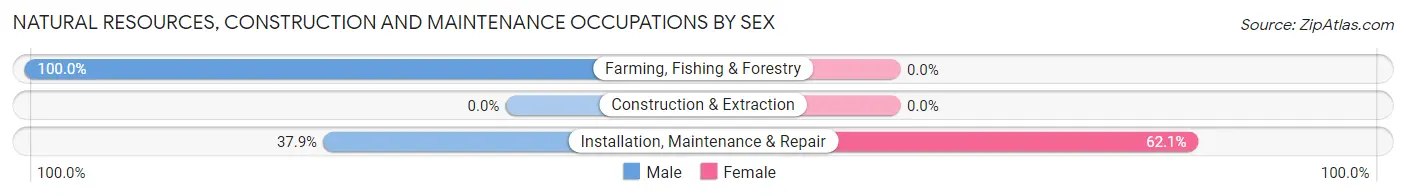 Natural Resources, Construction and Maintenance Occupations by Sex in Zip Code 95645