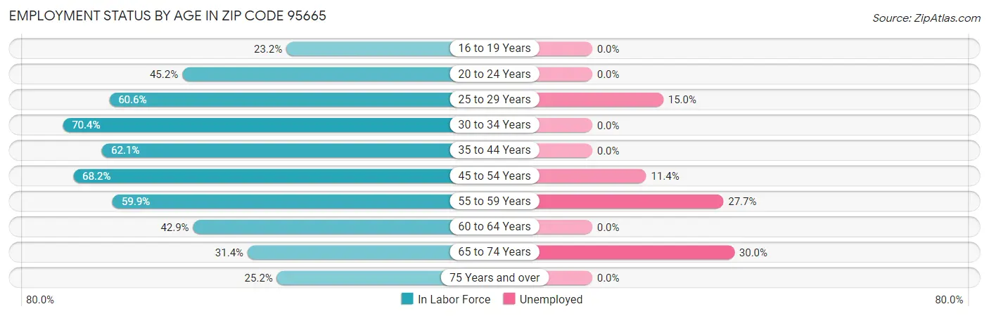 Employment Status by Age in Zip Code 95665