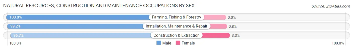 Natural Resources, Construction and Maintenance Occupations by Sex in Zip Code 95673