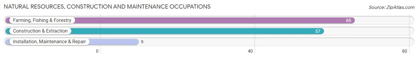 Natural Resources, Construction and Maintenance Occupations in Zip Code 95686