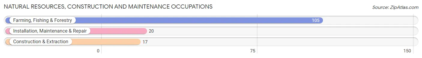 Natural Resources, Construction and Maintenance Occupations in Zip Code 95690