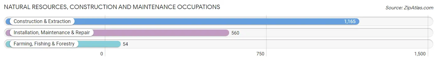 Natural Resources, Construction and Maintenance Occupations in Zip Code 95691