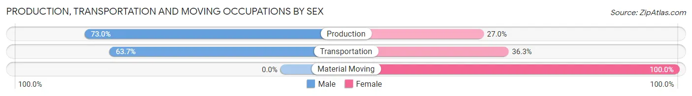 Production, Transportation and Moving Occupations by Sex in Zip Code 95693