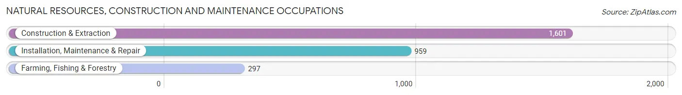 Natural Resources, Construction and Maintenance Occupations in Zip Code 95828