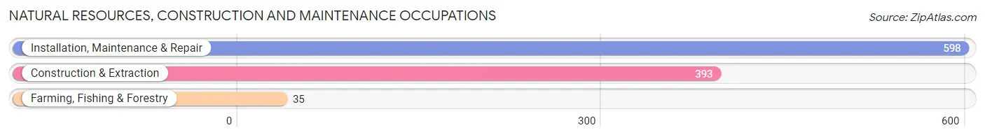 Natural Resources, Construction and Maintenance Occupations in Zip Code 95831