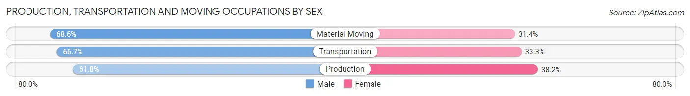 Production, Transportation and Moving Occupations by Sex in Zip Code 95864