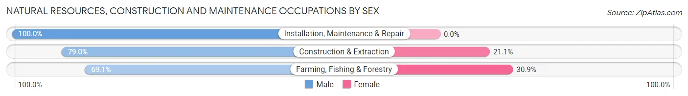 Natural Resources, Construction and Maintenance Occupations by Sex in Zip Code 95912