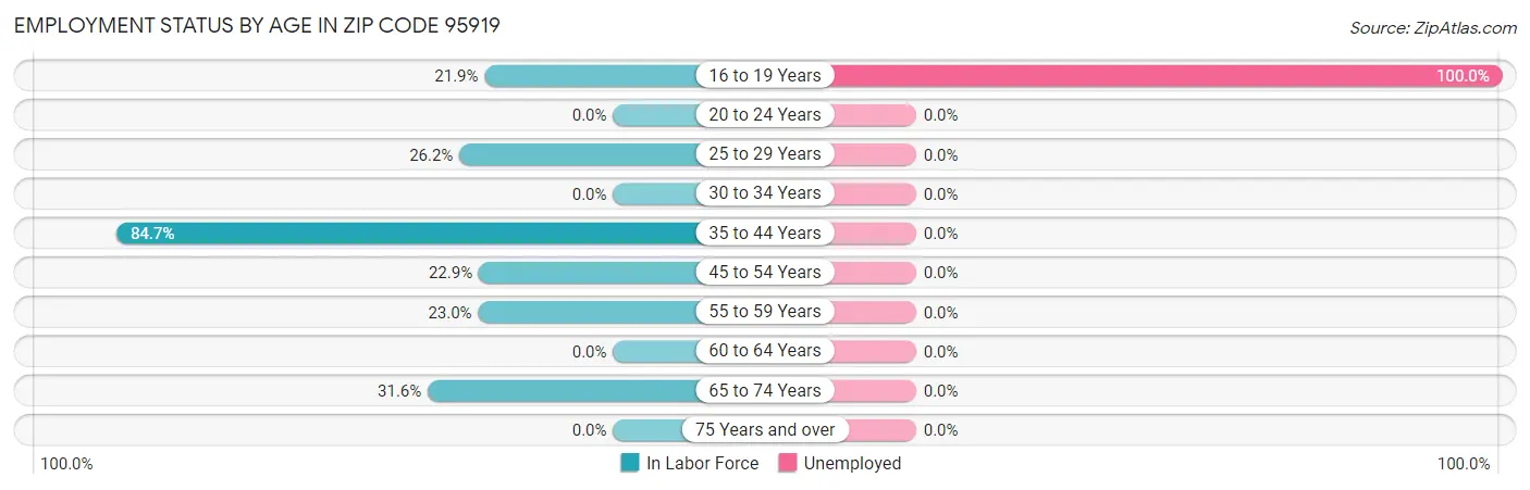 Employment Status by Age in Zip Code 95919