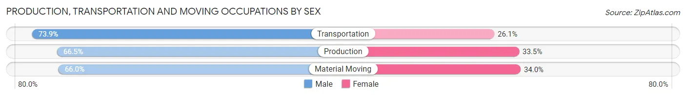 Production, Transportation and Moving Occupations by Sex in Zip Code 95928