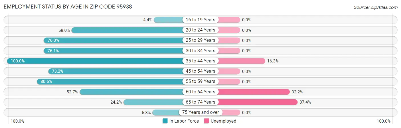 Employment Status by Age in Zip Code 95938