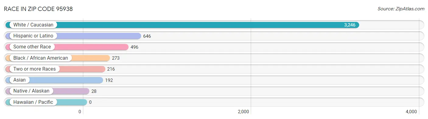 Race in Zip Code 95938