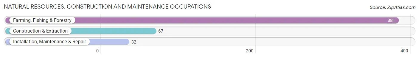 Natural Resources, Construction and Maintenance Occupations in Zip Code 95951