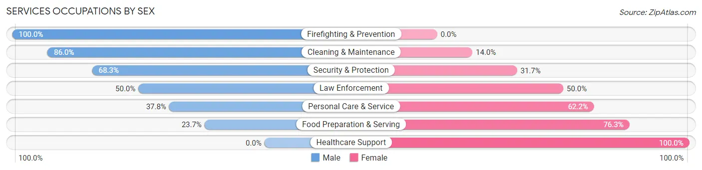 Services Occupations by Sex in Zip Code 95953