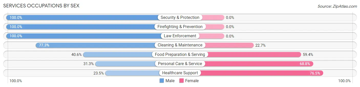 Services Occupations by Sex in Zip Code 95954