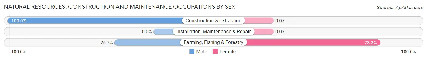 Natural Resources, Construction and Maintenance Occupations by Sex in Zip Code 95968