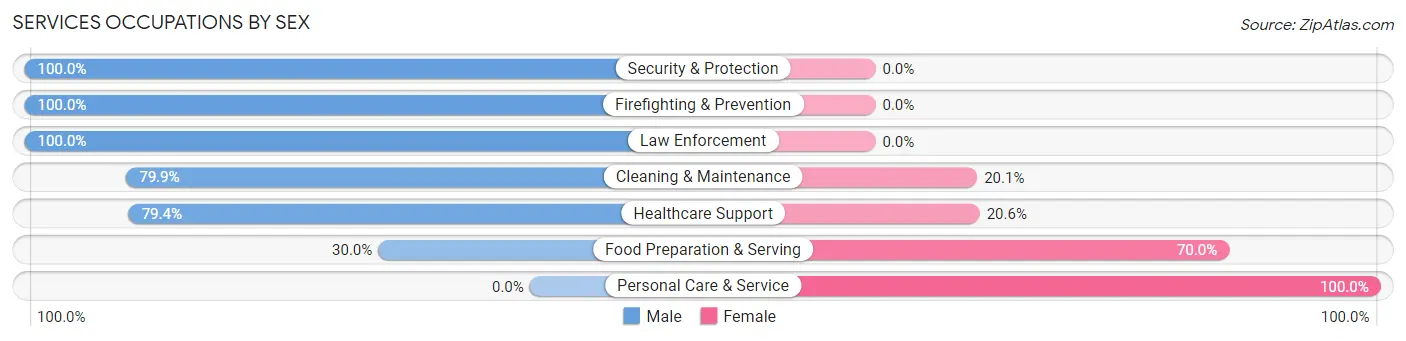Services Occupations by Sex in Zip Code 95969