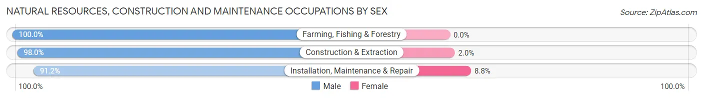 Natural Resources, Construction and Maintenance Occupations by Sex in Zip Code 96007