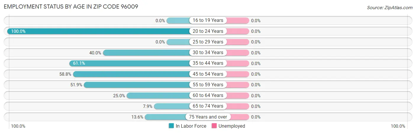 Employment Status by Age in Zip Code 96009