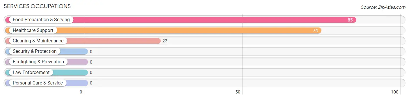 Services Occupations in Zip Code 96013