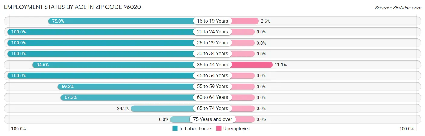 Employment Status by Age in Zip Code 96020