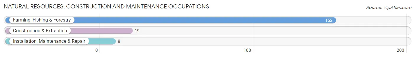 Natural Resources, Construction and Maintenance Occupations in Zip Code 96023