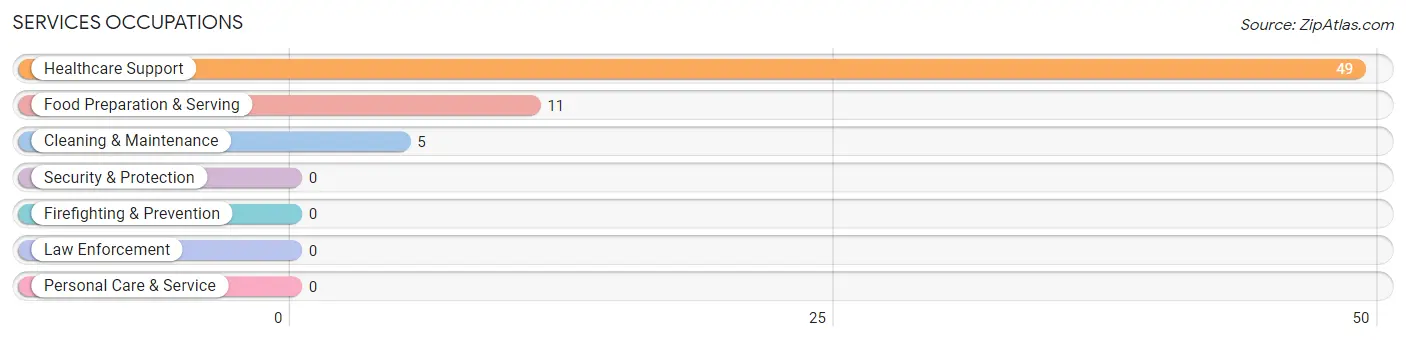 Services Occupations in Zip Code 96023