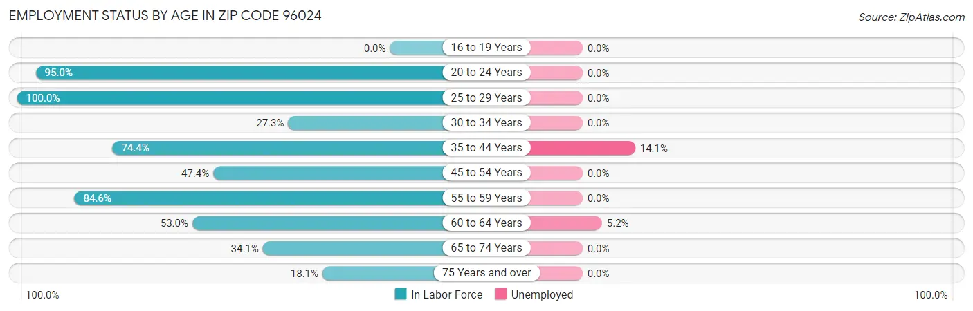 Employment Status by Age in Zip Code 96024