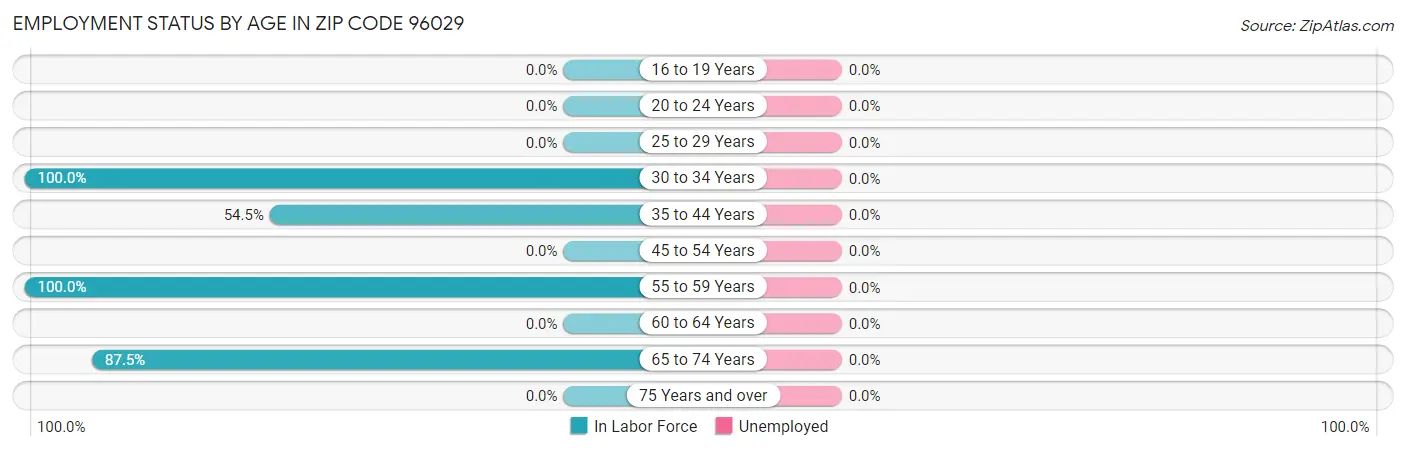 Employment Status by Age in Zip Code 96029