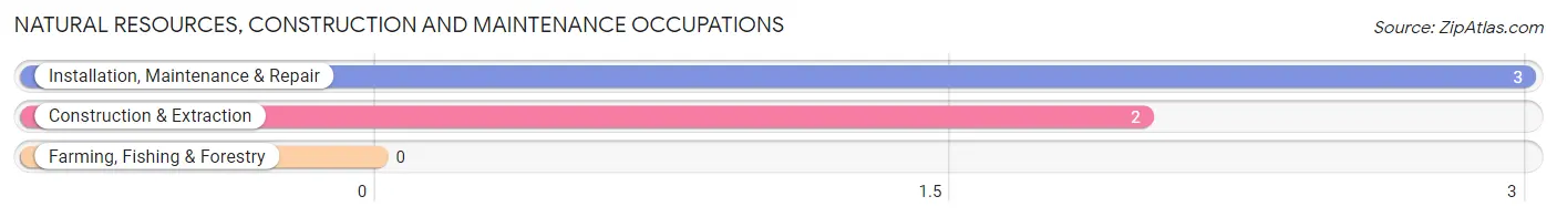 Natural Resources, Construction and Maintenance Occupations in Zip Code 96029