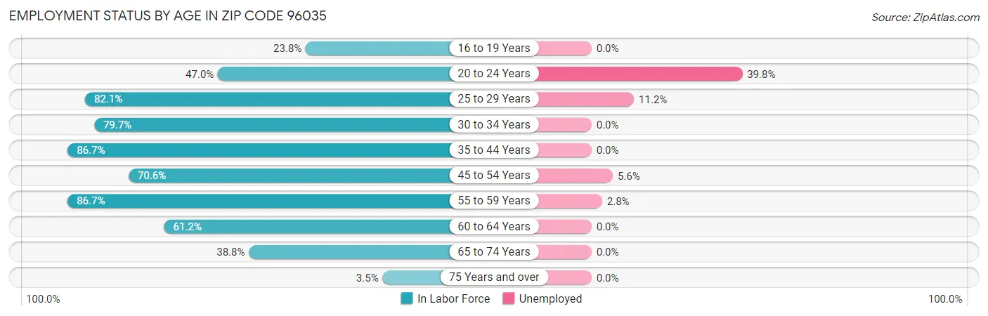 Employment Status by Age in Zip Code 96035