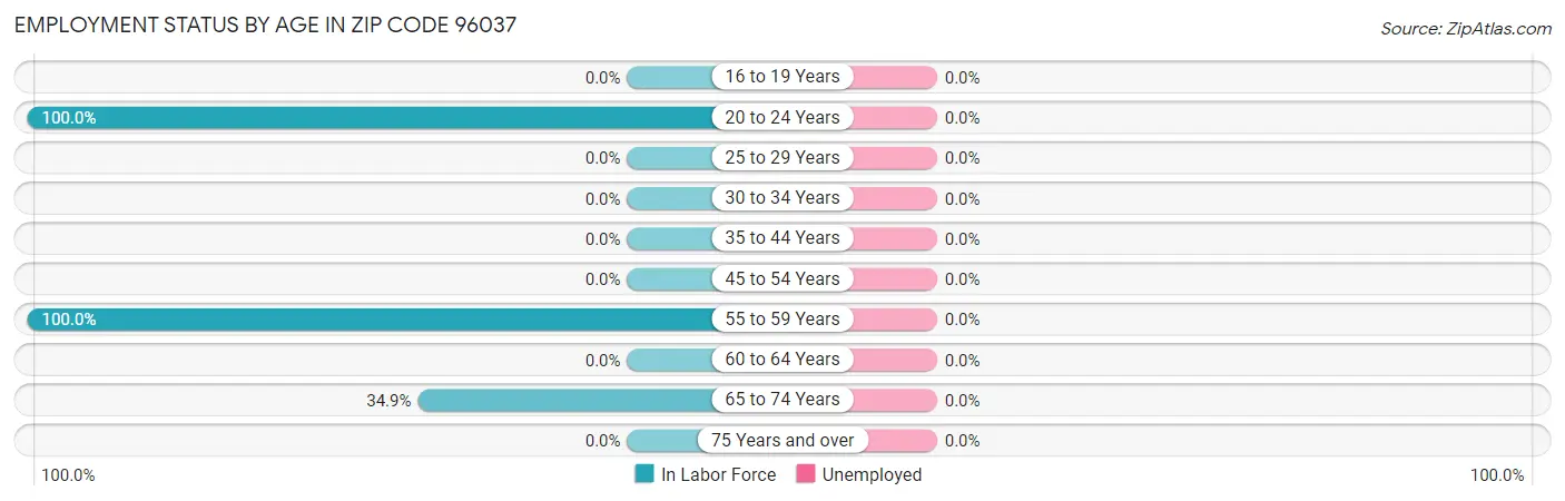 Employment Status by Age in Zip Code 96037