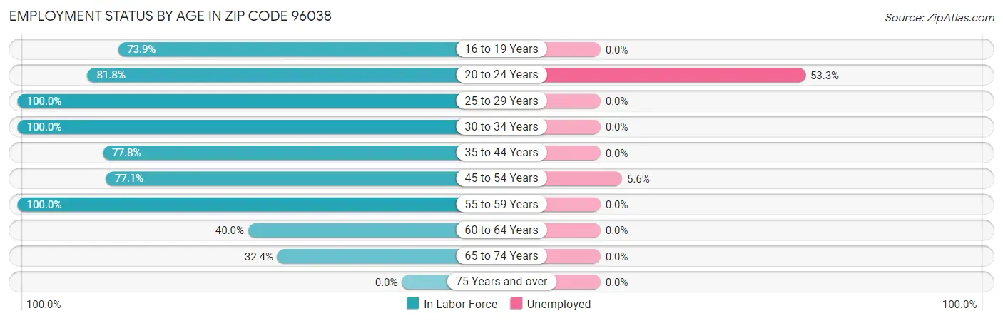 Employment Status by Age in Zip Code 96038