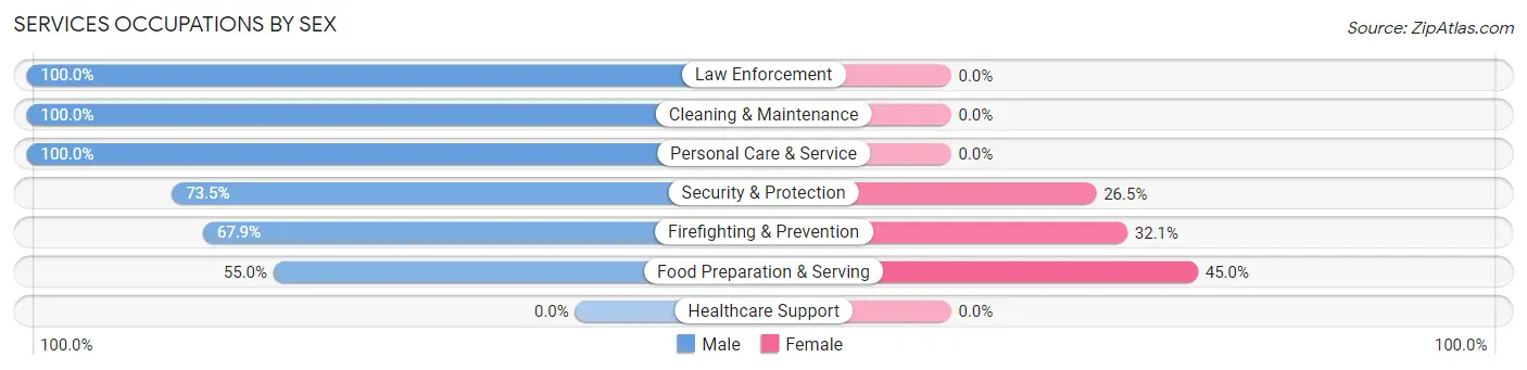 Services Occupations by Sex in Zip Code 96038