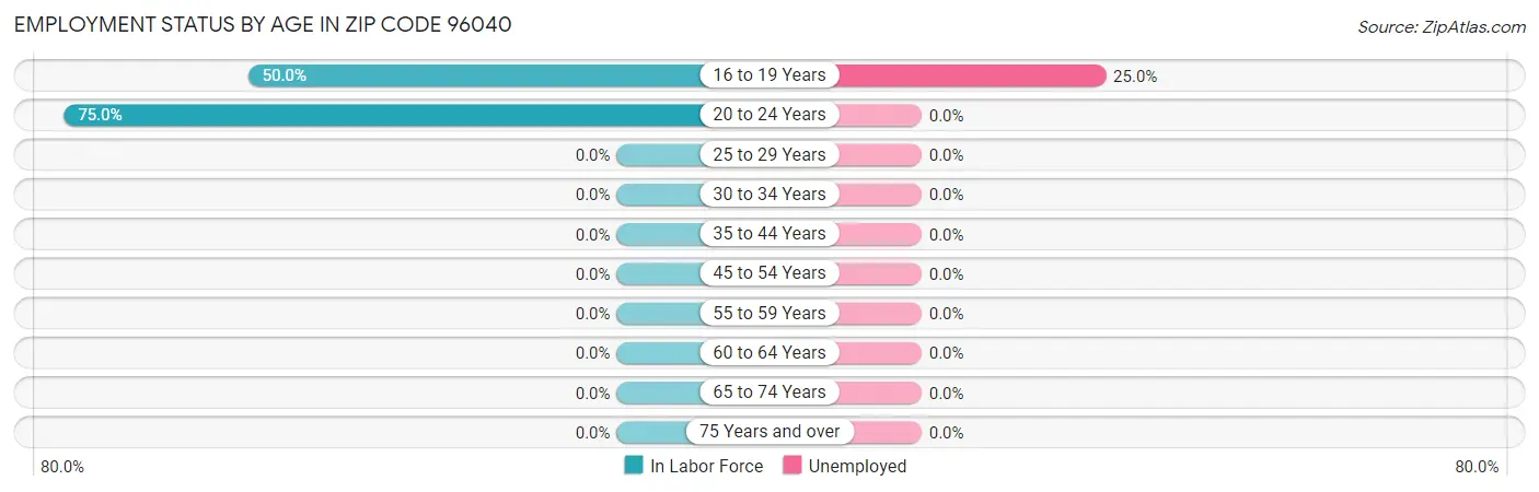 Employment Status by Age in Zip Code 96040