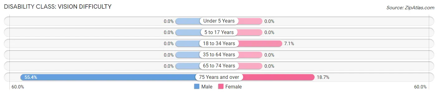 Disability in Zip Code 96041: <span>Vision Difficulty</span>