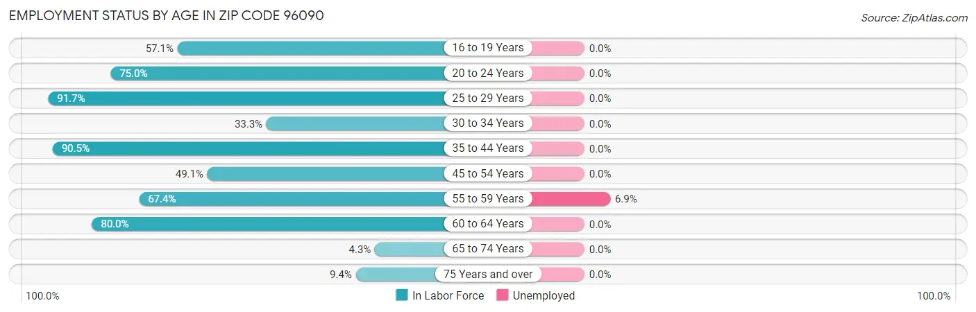 Employment Status by Age in Zip Code 96090