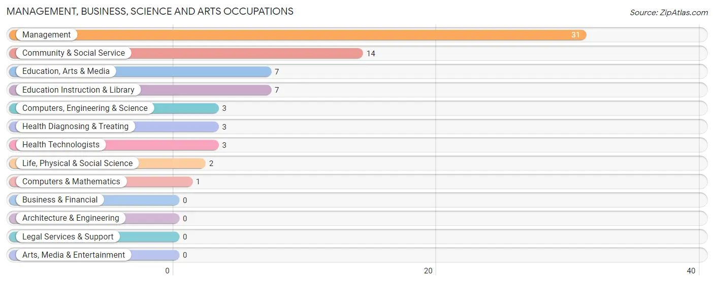 Management, Business, Science and Arts Occupations in Zip Code 96090